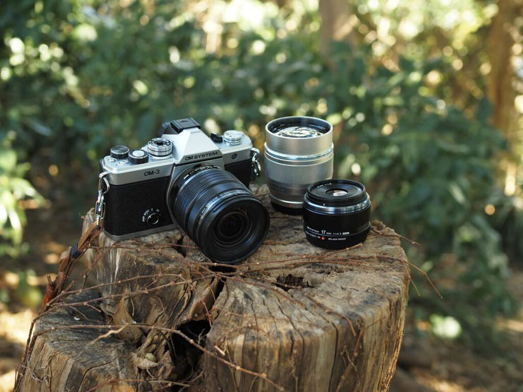 The Smallest Telephoto Lens? Olympus 75mm f/1.8 Real World Review