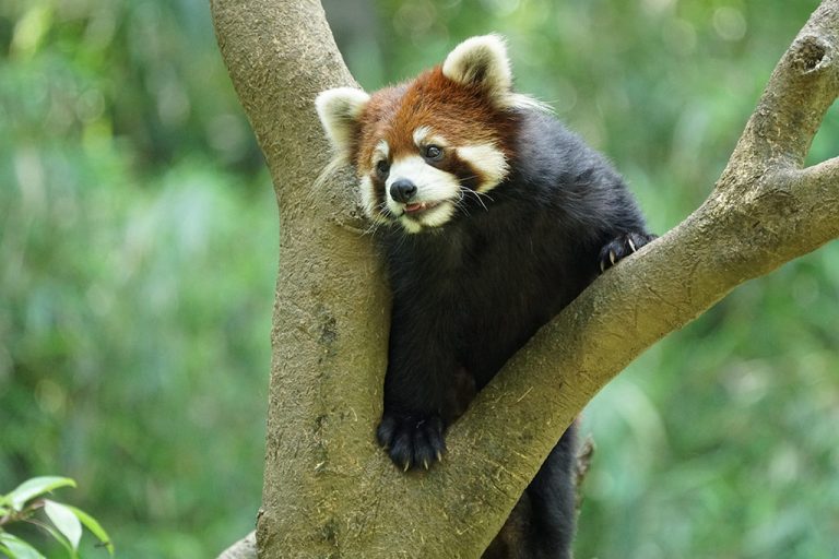 Best Lenses for the Sony a6400 (2022 Guide) Compact Shooter