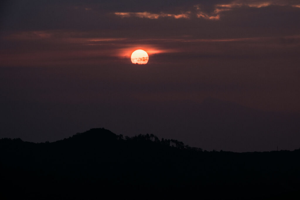 Sample image from the Nikon Z DX 18-140mm at 140mm or about 200mm equivalent