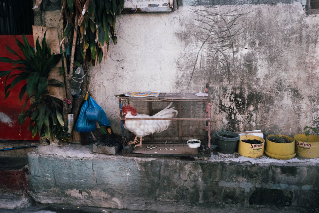 Sony ZV-1 Sample Image - street photography