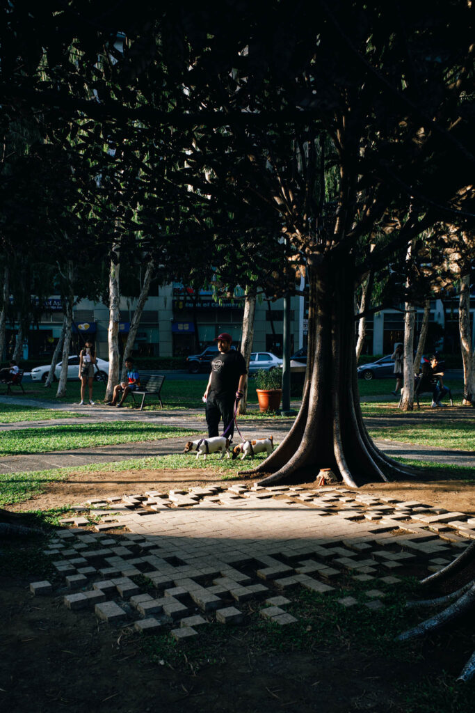 Sony ZV-1 Sample Image - street photography