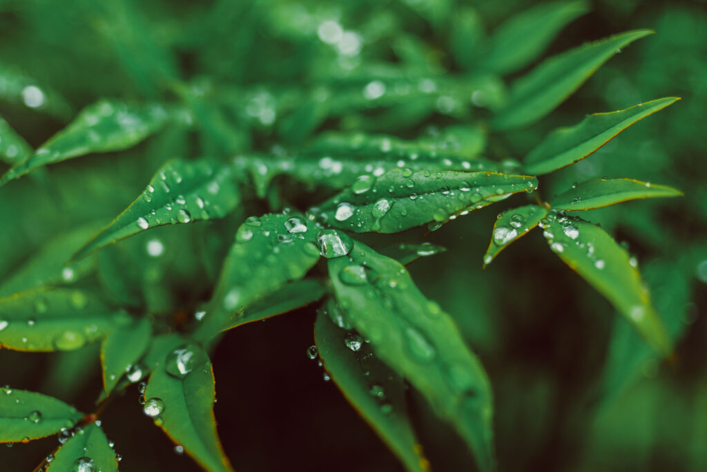 Sample image from the Sigma 23mm f/1.4