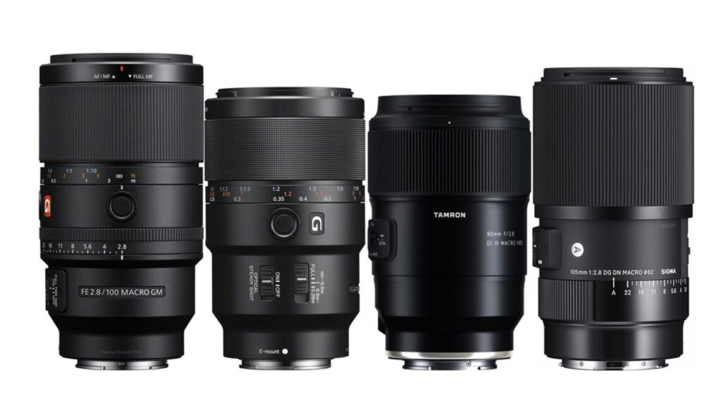 Best macro lenses for Sony full frame: Sony 100mm f/2.8 GM; Sony 90mm f/2.8 G; Tamron 90mm f/2.8 and Sigma 105mm f/2.8