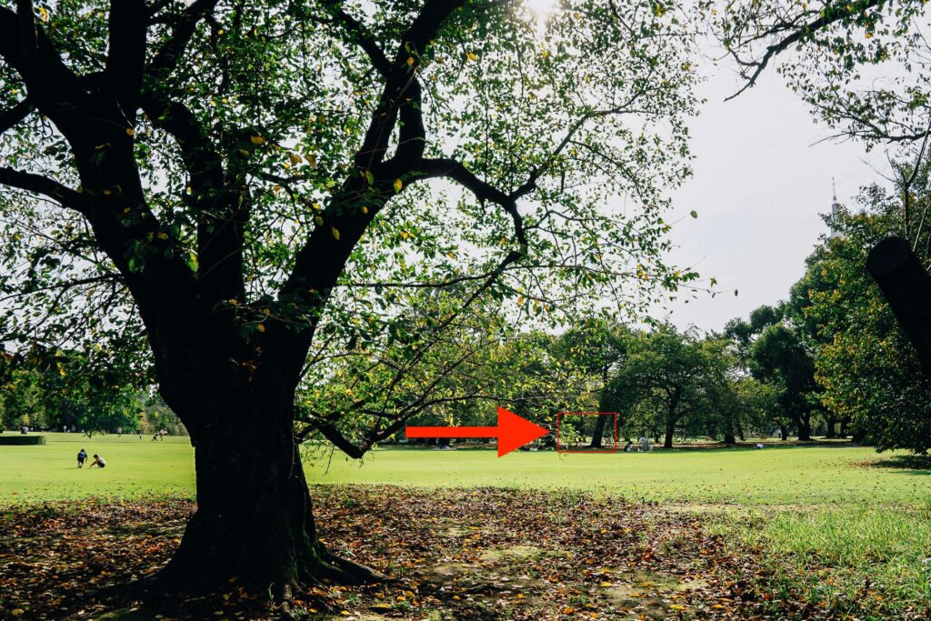 Sample image showing the zoom range of the Tamron 18-300mm, starting at 18mm to 300mm