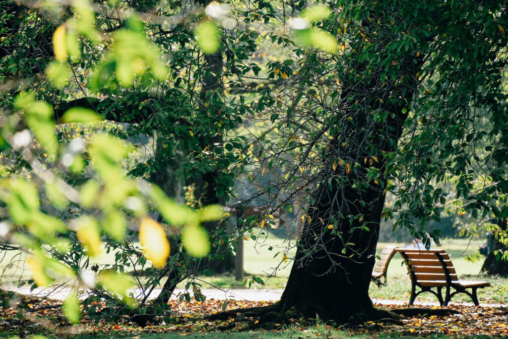 Sample image showing the zoom reach of the Tamron 18-300mm Super Zoom lens, at 300mm