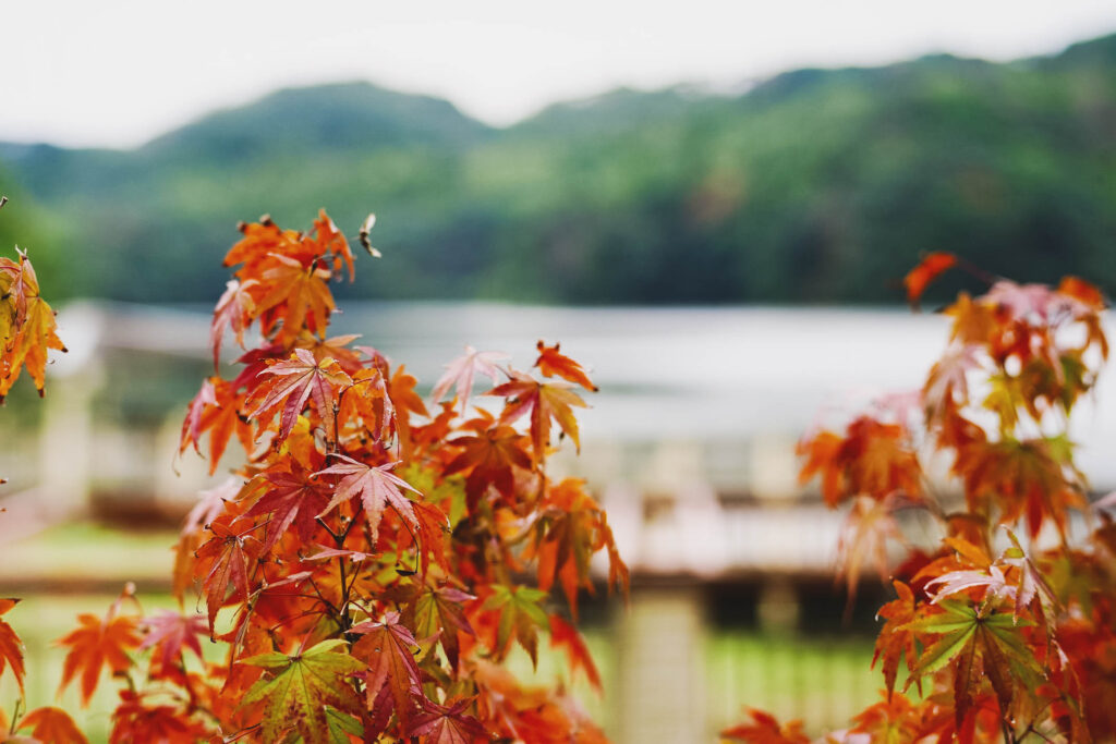 Sample image from the Tamron 35-150mm, shot at 35mm f/2