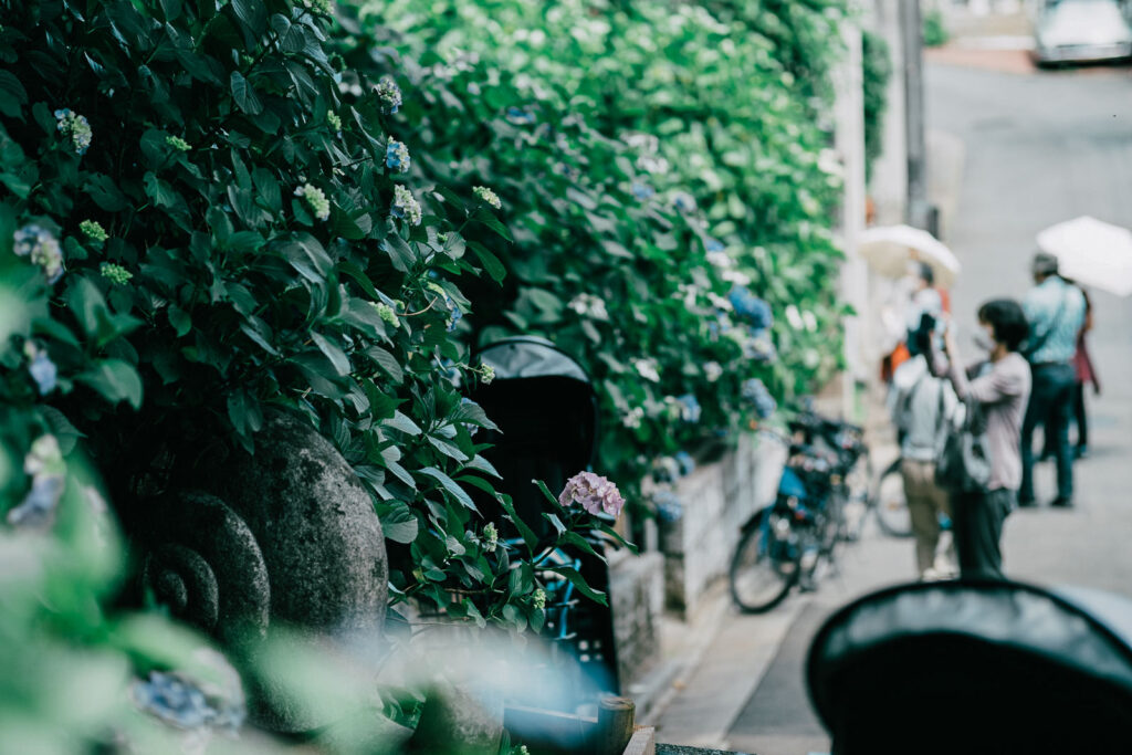 Sample image from the Viltrox 56mm f/1.7 Air lens