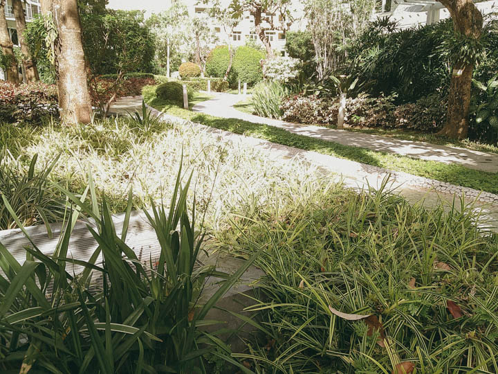 Sample Image from the Kodak Charmera Camera showing the dynamic range in a high contrast scene