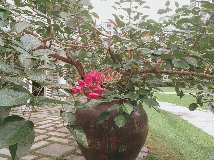 Sample close-up image taken on the Kodak Charmera